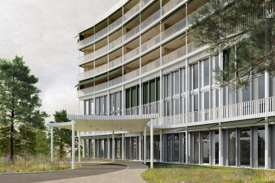 Neubau Zürcher Rehazentrum, Wald